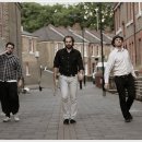 REBORN DOG 이미지