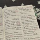 독학 토익 LC 실력 높이기 (2) | 8월 24일 토익 시험 후기 | 직장인 토익 독학