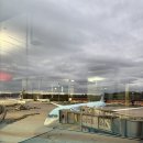 918 | 취리히-인천 대한항공 직항KE918편 탑승후기(사전기내식신청•글루텐프리식)