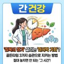 삼랑진커피(sa.m.r.a.n.g.j.i.n. coffee) | 간건강, '침묵의 장기' 살리는 3가지 골든타임 습관