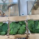 안성자연유치원 이미지