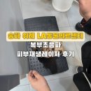 365동물병원 위례점 | 송파 위례 LA동물병원 검진 후기. 요크셔테리어 복부초음파 &amp; 피부재생레이저
