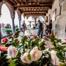 상상그대로 이미지