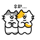 견생냥품무인24시 - 안성시 아양1로 77-31 | 견생냥품무인24시