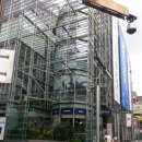 목 짧은 기린 지피 이미지