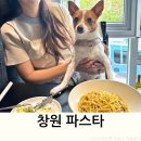 창원 애견동반 식당 파스타 맛집 디텍트