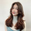 벨리븐 이미지