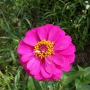 옥천민박 이미지