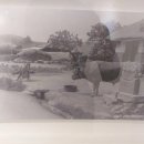 과천사료박물관 이미지