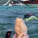 유원관광호텔, 보물섬 | 푸꾸옥 스노쿨링 가격 보물섬 호핑투어 준비물ㅣ물 겁쟁이의 솔직후기