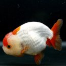 채형농장 이미지