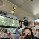 아루브 이미지
