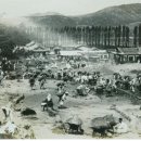 조선시대 이미지