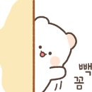 솔하인테리어 이미지
