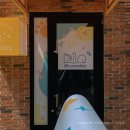 디오펫살롱 이미지