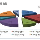 디부부 이미지