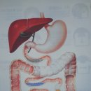 이든 연합의원 이미지