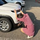 월피동쌍용짚공업사 | 구름일기 첫 사고... 운전한지 한달도 안돼서 미안하다 구름아 정말 나란인간정말 심장에 총맞은거같음...