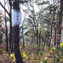 하사촌1 이미지