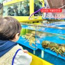 당진 삽교호 수산시장 가볼만한곳 아이랑 수산물 특화시장 어시장 투어