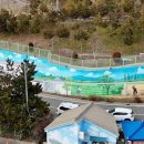 군산전통순대국밥협동조합 이미지