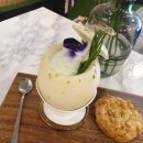 비쥬얼라이트