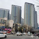 그랑올라 이미지