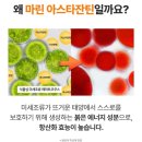 성분에디터 액티브 마린 아스타잔틴 캡슐 크림 홍현희 기미크림 내돈내산 한 달 사용 후기