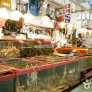 자갈치시장 이미지