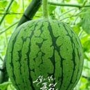 조은클리닝 이미지