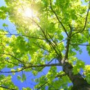 소리청한의원 이미지