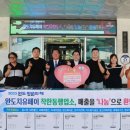 완도회타운 이미지