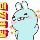 둘둘미용실 이미지