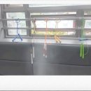 정왕 경희대 태권도장 네이버블로그