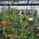 남궁농원 이미지