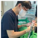 프라임치과의원 이미지