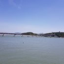 목화방 Daum카페