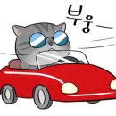 알프스시네마2관 이미지