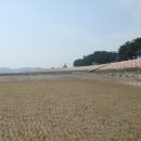 서천바닷가갯벌펜션 이미지