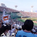 롯데대구시리즈 이미지