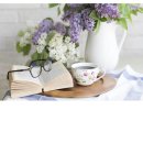 태극안경콘택트(노은점) 이미지