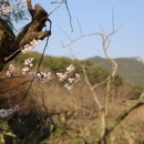 창원 최윤덕 유허지 이미지