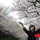 제주바람 Daum카페