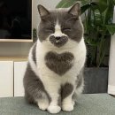 까페세마 이미지