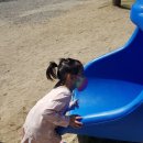 삼공주 농원 | 홍삼이네(홍이네삼공주)가족 4번째 캠핑~!! 가래골캠핑장(포천)