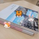 📷 퍼블로그 포토북 내돈내산 후기🌸