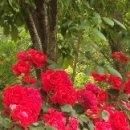 문학에서 삶 읽기 이미지