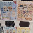 토이크레인 | 용산 &lt;코끼리밥 캡슐토이 팝업&gt; 후기 + 홍대 쿄우마샵