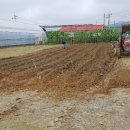 천생연분마을영농조합법인 이미지