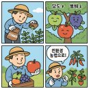 연일 비소 제001호 | 231편) 단디농원 사과밭 연일폭염에 8월휴가철 방제 올해는 갈반병,점무늬낙엽병 이 미미하게 보이네...